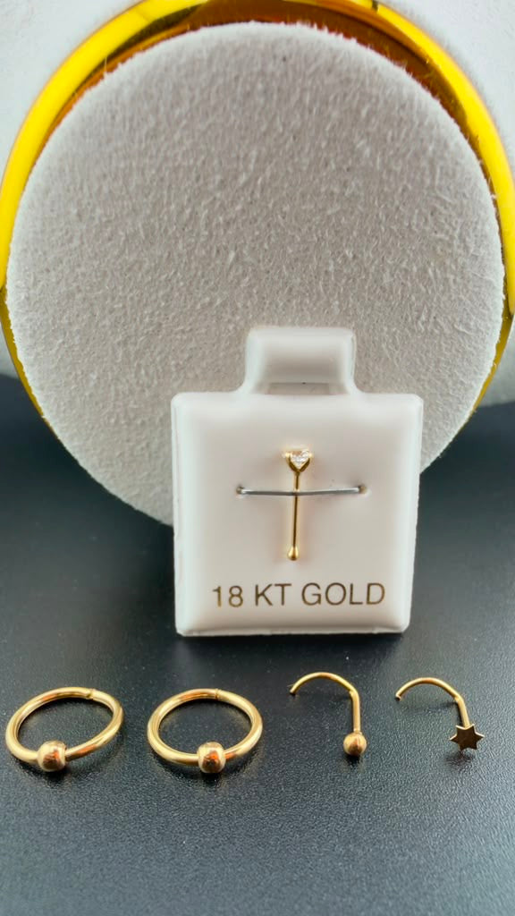 Assorted Piercings Earring hoop 18k.