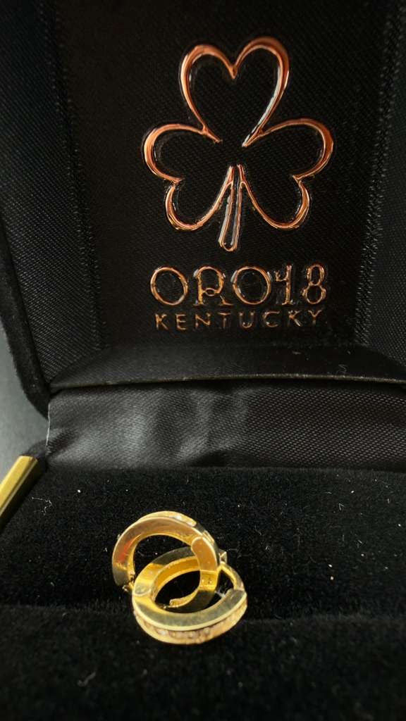 Classic Gold Hoop 18k